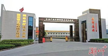 潮安 擦亮食品產業的金字招牌