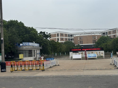 煙花萬元迎新校長，是尊師重道還是風氣跑偏？